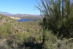 PICTURES/Goldfield Ovens Loop Trail/t_Saguaro Lake2.JPG